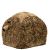 Buteo Photo Gear Tente abri Aquila Mark II Roseau